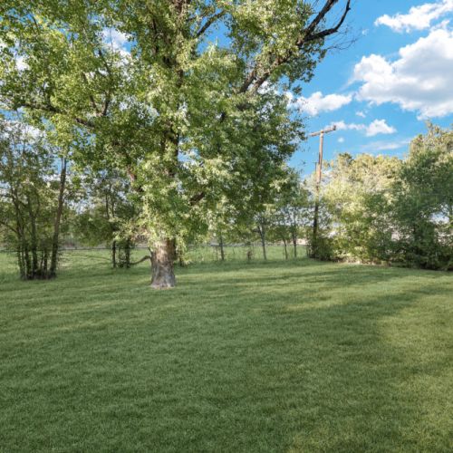 Spacious backyard for your furry friends and family!