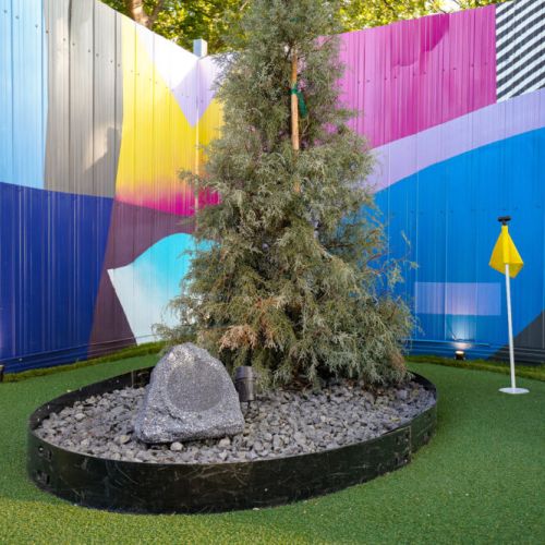 Putting green in the back yard surrounded by murals.