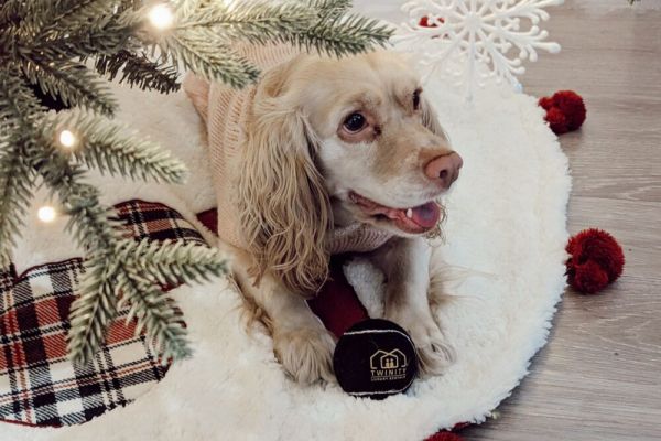 Baytown Htown Escape | Air Hockey Yard BBQ Games