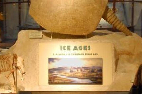 Texas Science & Natural History Museum