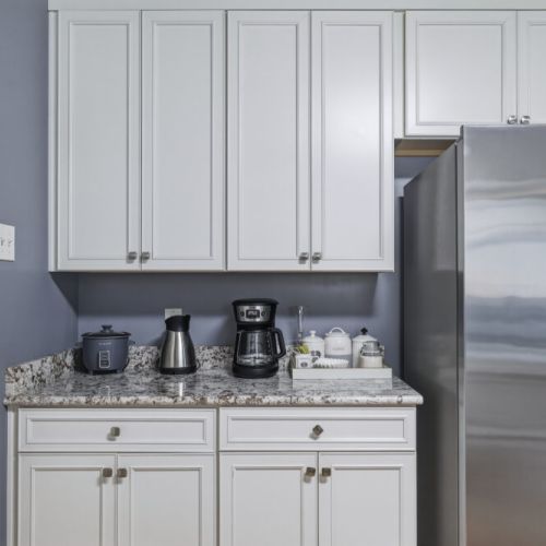 Stainless steel appliances. Fridge does NOT dispense water or ice.