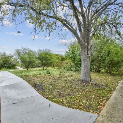 Peaceful walking trail to enjoy nature and exercise