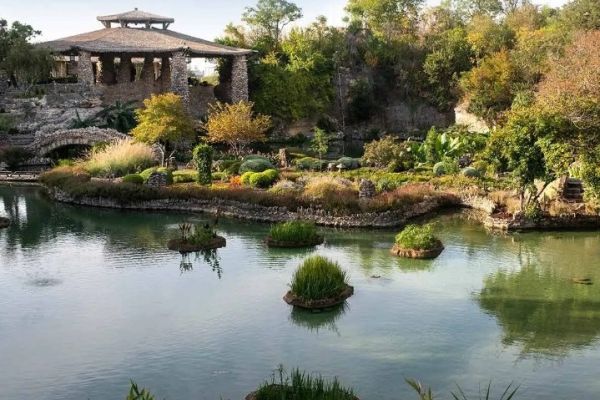 Japanese Tea Garden
